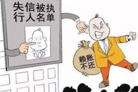 舞阳债务清欠服务